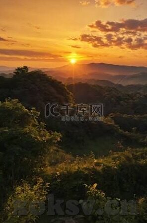 97人人妻-97人人妻，在数字时代下的家庭角色与情感纽带