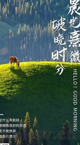 麻豆av在线播放-光影错落，都市隐秘的暗涌与光亮