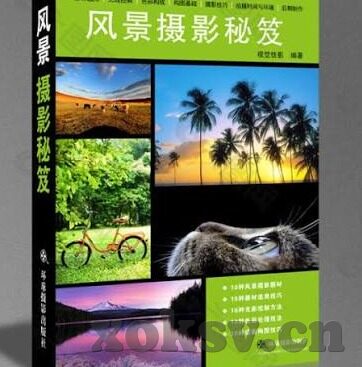 麻豆视频是啥-探寻网络文化的又一角落，麻豆视频解析
