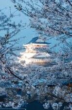 破解版麻豆视频-探索数字时代的版权伦理与内容消费新风气