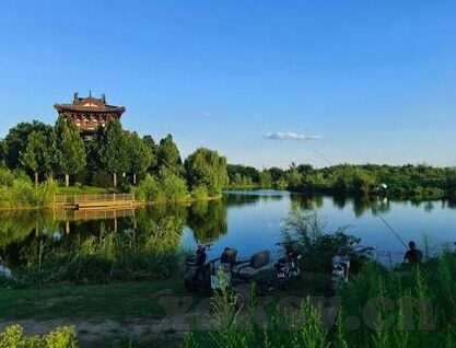 人妻嫩草-探寻人妻嫩草的独特魅力，爱与成长的温柔交织