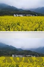 糖心VLOG下载汅appios-揭秘糖心VLOG，一个获取优质下载体验的探索